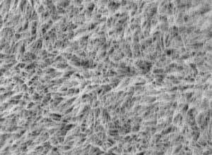 Nickel cobalt oxide nanowires