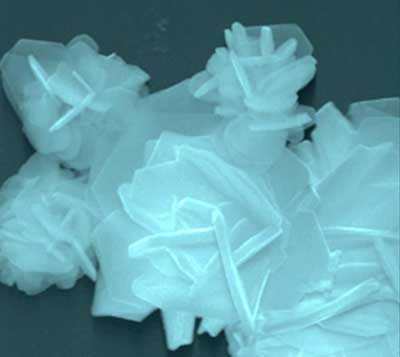 A scanning electron microscope image shows a flake of a two-dimensional electrocatalyst