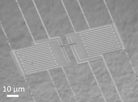 SEM image of suspended micro-island devices