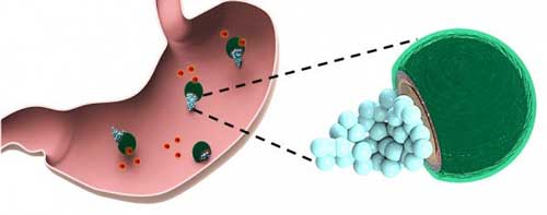 Nanoengineers have developed the first drug-delivering micromotors for treating bacterial infection