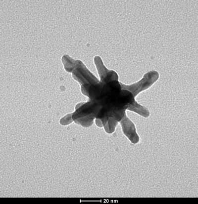 Gold Nanostar under an electron microscope