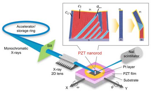 Charge screening in ferroelectric Pb(Zr,Ti)O3 nanorods was used to control their domain pattern