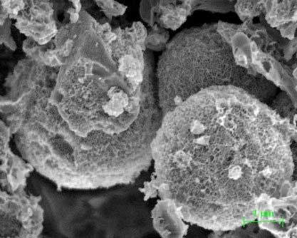Scanning Electron Microscopy (SEM) image of porous carbon microspheres