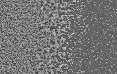 Silicon dioxide nanoparticles