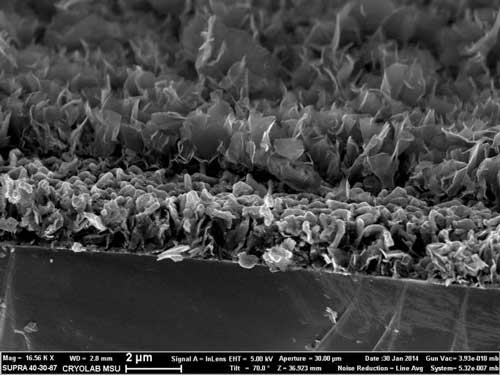 This is a side view microphotograph of an electrode slice, depicting the structure of a nanowall/silicon/nanowall