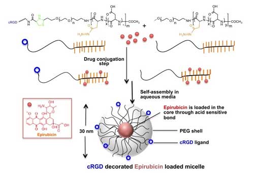 Synthesis and structure of cRGD-decorated epirubicin-loaded micelles, shown to lead to the suppression of gliobastoma multiforme tumors in a mouse model