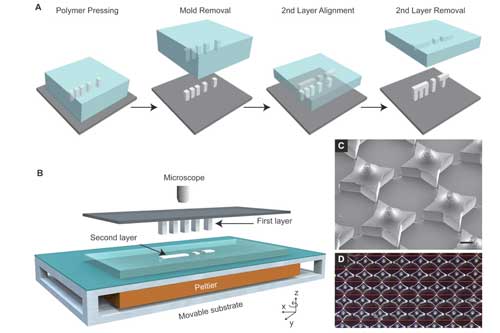 Microstructures are fabricated by pressing and heating polymer into a patterned PDMS base mold