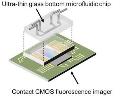 Ultra-thin Glass Bottom Microfluidic Chip