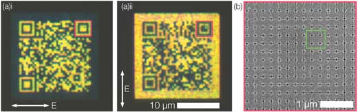 Bright-field and SEM images of a switchable QR-code