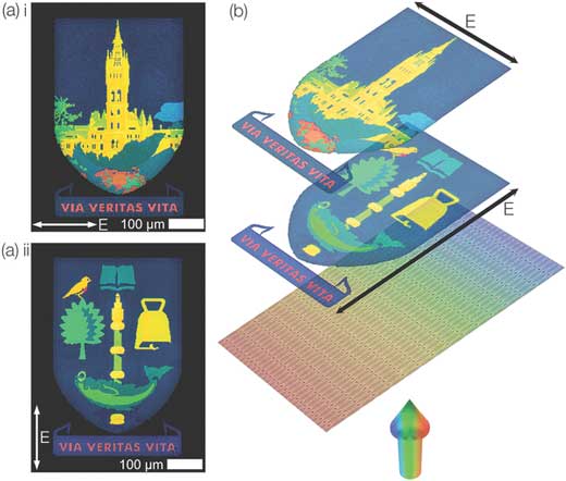 Bright-field microscope images showing the switchable nature of the information displayed by a single set of nanopixels