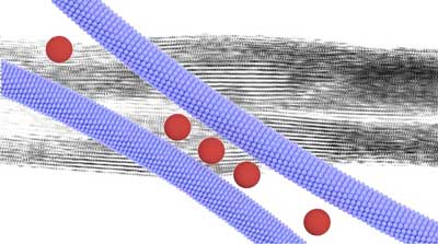 ipper-like assembly of nanocomposite leads to superlattice wires that are characterized by a well-defined periodic internal structure