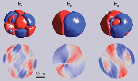 Vortices in nanoparticles exposed by the electrical field