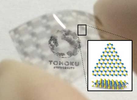 a semitransparent and flexible solar cell with 2-D sheet