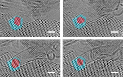 Evidence of atomic-scale structural fluctuations in a cobalt nanoparticle that acted as a catalyst for the growth of single-walled carbon nanotubes