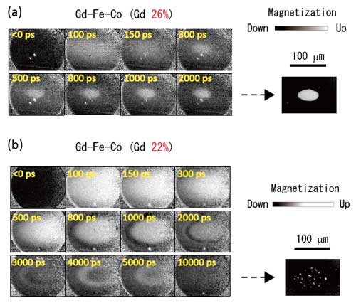 Time-dependent magnetic images of (a)Gd26% and (b)Gd22% samples