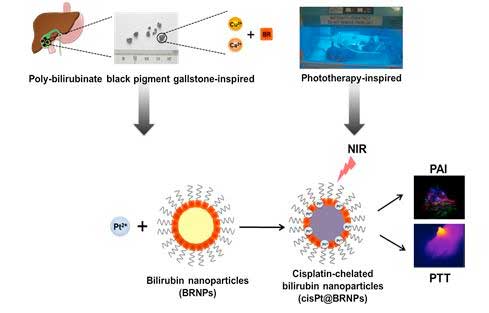 combined photoacoustic imaging and photothermal therapy for cancer using Bilirubin nanoparticles