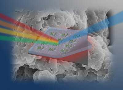 DNA-Based Thin Films