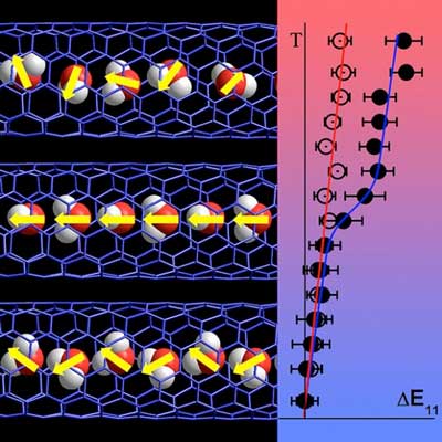 water molecules forming a chain in a carbon nanotube