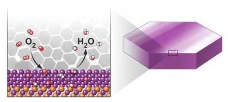 bimetallic nanoplate catalyst (right) with a platinum-lead (Pt-Pb) core and a thin platinum shell