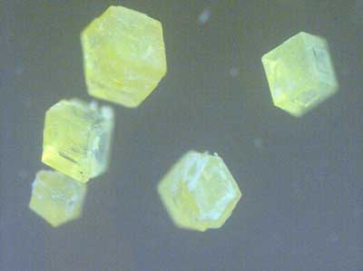 this perovskite has a strong green fluorescence