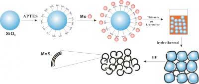 Schematic Illustration of the Preparation Process for Porous MoS2
