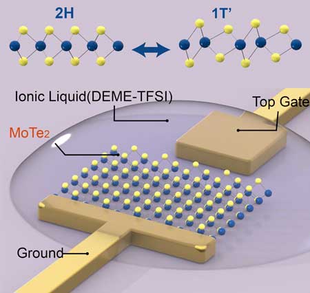 chematic shows the configuration for structural phase transition on a molybdenum ditelluride monolayer (MoTe2, shown as yellow and blue spheres), which is anchored by a metal electrodes (top gate and ground)