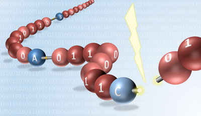 By inserting fragile bonds between each molecular 'byte,' digital polymers may be easily read through mass spectrometry