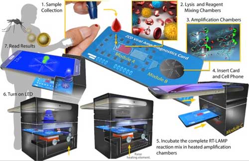 lab-on-a-chip uses smartphone for the detection of multiple pathogens