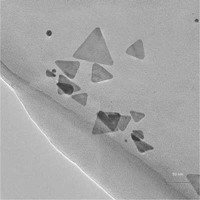 TEM Micrograph of Aqueous Solution of Silver Triangular Nanoplates