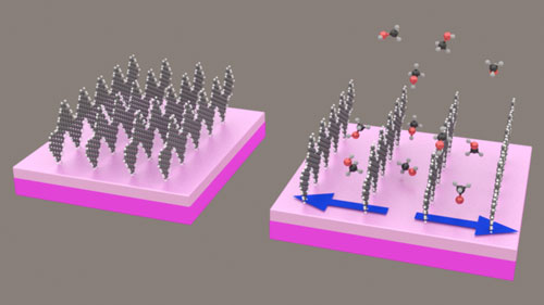 gas molecules widening the gaps between rows of graphene nano-ribbons