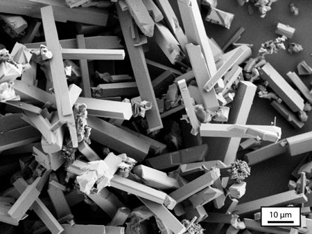 An electron microscope image shows microrod particles