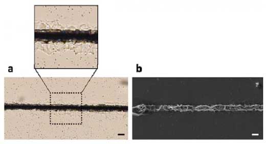 Metal-Silicone Microwires