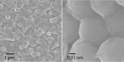 Scanning electron microscopy image showing a sheet of the MoS2-wrapped sulfur nanoparticles