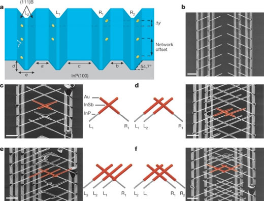 Deterministic growth of InSb nanowire networks