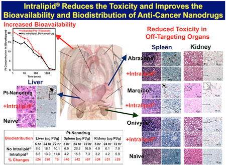 Intralipid reduces the toxicity and improves the bioavailability and biodistribution of anti-cancer nanodrugs