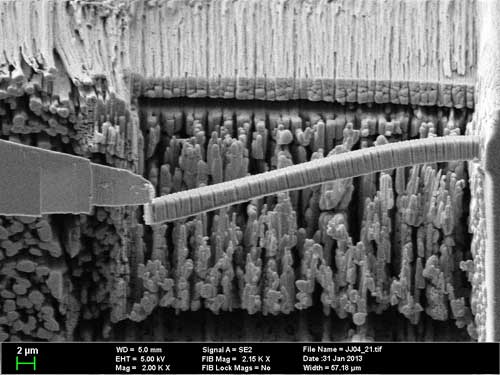 ending experiment on elastic cement in a scanning electron microscope