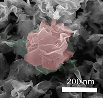a 'flowering' hydrogen catalyst