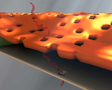 Ultrathin Nanoporous Silicon Nitride Membrane Separated from a Single Sensing Nanopore
