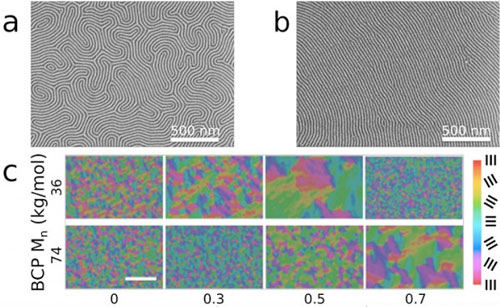 The scanning electron microscope images taken after thermal annealing at around 480 degrees Fahrenheit for five minutes show that the block copolymer/homopolymer blend generates a line pattern with a significantly higher degree of long-range order (b) than the unblended version
