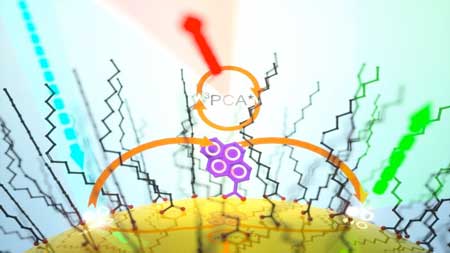 Pyrenecarboxylic acid-functionalized CdSe quantum dots undergo thermally activated delayed photoluminescence