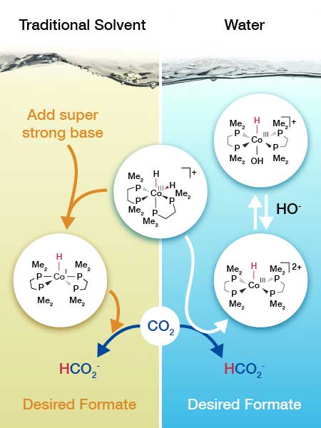 cobalt-based catalyst (center) takes a different path to adding hydrogen to carbon dioxide depending on whether it is in water or another solvent