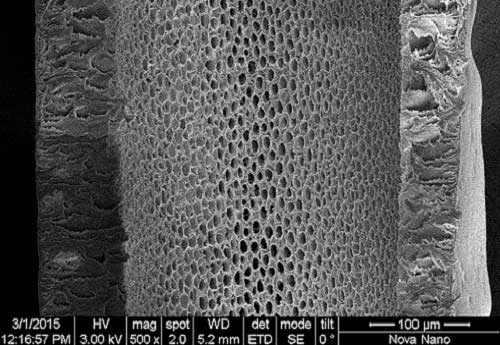 polyacrylonitrile nanofiltration membrane