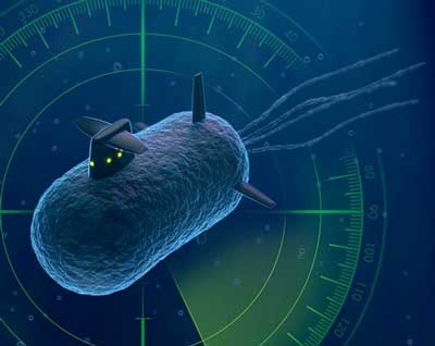 Artwork of a bacterial cell made to look like a submarine