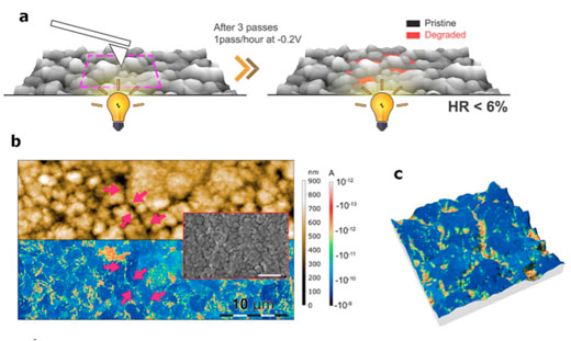 Photoconductive Atomic Force Microscopy of perovskite solar cell