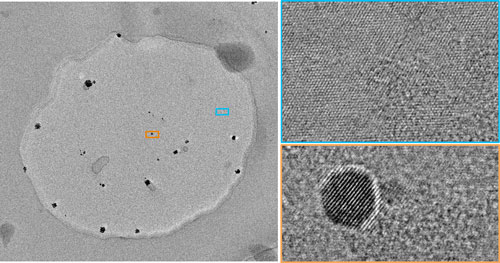 Researchers measure single atoms in a graphene ‘petri-dish’