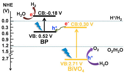 Schematic diagram of Z-scheme photocatalytic overall water splitting using BP/BiVO4 under visible light irradiation