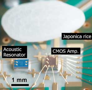 Microwave oscillator with a piezoelectric film resonator