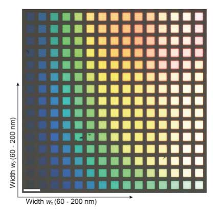 Bright-field optical microscope image of silicon nanostructure arrays