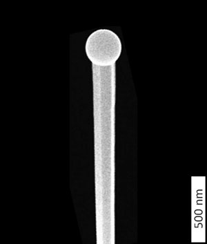 a single nanowire, crowned by a gallium droplet