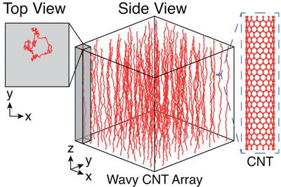 Aligned carbon nanotubes (CNTs) grown by chemical vapor deposition are typically wavy